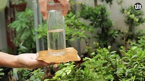 10 AMAZING SCIENCE EXPERIMENTS!十个神奇的科学实验