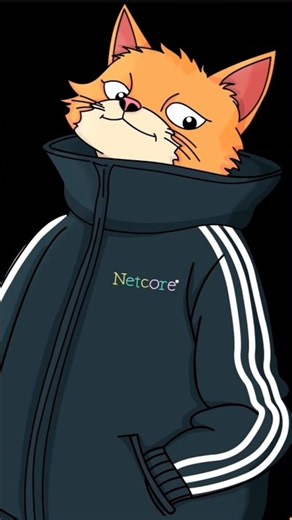 Тайна кота netcore и его айсбергов #всяправда