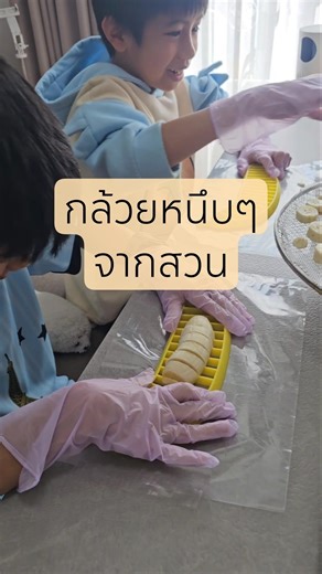 กล้วยน้ำว้าจากสวน เอามาอบแห้งหนึบๆ #กล้วยน้ำว้า #เกษตรอินทรีย์ #ปลูกผักกินเอง