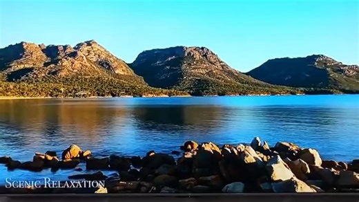 TCL QD-MiniLED电视震撼上市，画质飞跃升级！量子点MiniLED技术带来极致对比度与色彩表现，每一帧都如临其境。无论是深夜观影还是白天追剧，都能呈现