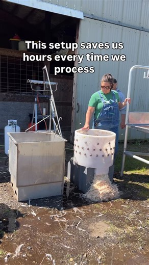 Jordyn & Kay | Homesteaders | Backyard Chicken Processing on Instagram: "You bought the equipment. You streamlined your processing day. But you can take it one step further. ✅ Rent your Featherman setup out to others ✅ Help your community ✅ Recover your investment ✅ Create recurring income We’ve helped friends process for years. This year? We’re renting out our full setup — and it’s already in demand. Featherman isn’t just a time-saver. It’s an asset. Want to see the exact bundle we use (and how