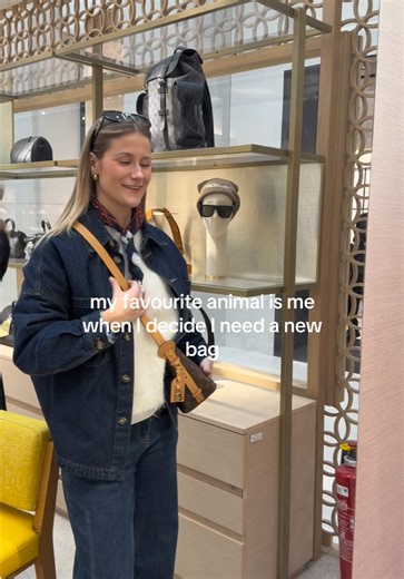 Choosing Between Louis Vuitton All In GM and BB