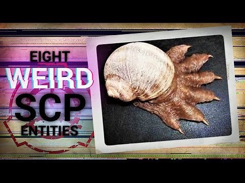 The WEIRDEST SCP Entities of all Time (Top SCP's)