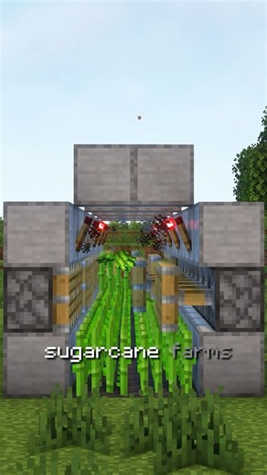 EASIEST SUGAR CANE Farm Minecraft Java & Bedrock