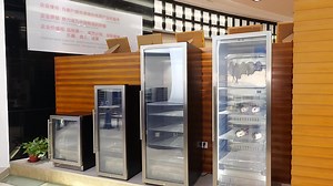 Josoo Homemade Large Cabinets Meat Dry Aging Refrigerator Steak Aging Fridge for Storage Beef and Venison