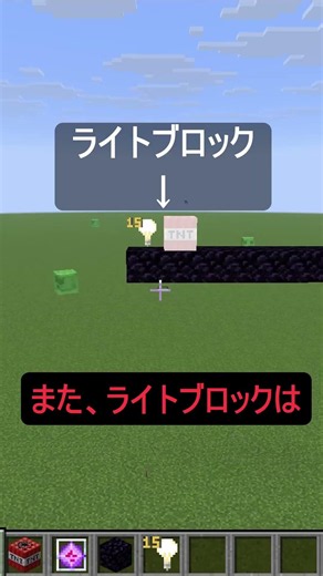 マイクラ界隈屈指の光源