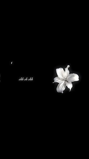 Boy why you so obsessed with me? 😭 💌#MariahCarey #aesthetic #lyricsvideo