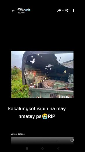 Ariel Kaye GIbo on TikTok