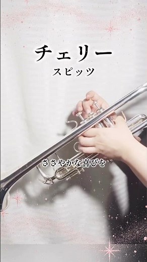 【懐かしの平成ソング】スピッツ の『チェリー』をトランペットで吹いてみた🎺