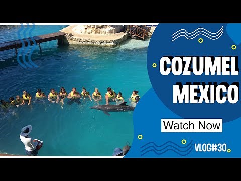 Cozumel Mexico Top Excursions and Port Review | Carnival Cruise Port | Travel Vlog
