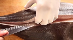 15K views · 216 reactions | Watch as Chef Grant Crilly filets and portions a halibut from start to finish. Get in-depth step-by-step instruction: chfstps.co/31j3www. Knife—Misono UX10 Hollow Ground Sujihiki: chfstps.co/31jIOwl. | ChefSteps | Facebook