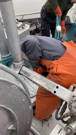 30K views · 159 reactions | Experience Gillnetting with Salmon in the Sea!  If you're curious about the fishing industry or want to experience something new, come join us on our next adventure out in the sea! #Gillnetting #SalmonFishing #SeaAdventure | Alaskan Salmon Company | Facebook