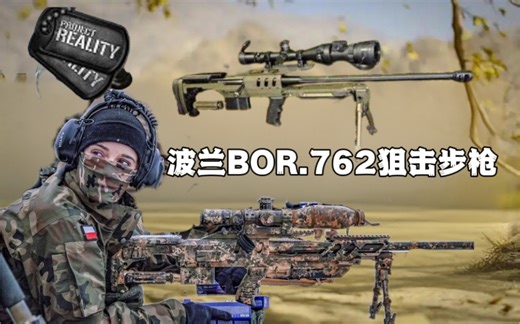 【Project Reality 真实行动】这次来试试BOR.762 狙击步枪，波兰狙击手孤军挑战老乡