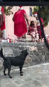 el perrito pensó quiénes estaban atacando de verdad esto lo subo con mucho respeto con mucho cariño