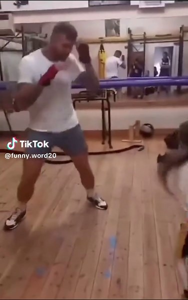 #LIVEIncentiveProgram #LIVEFEST2026 #MakeLIVECount #PaidPartnership