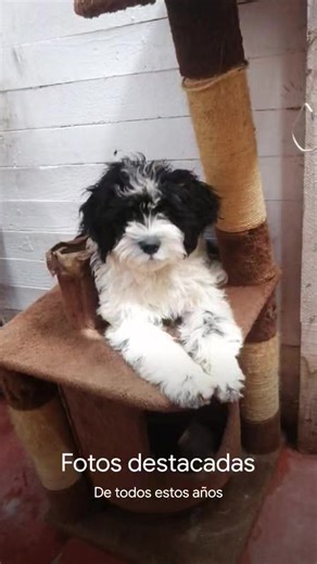 @pequitas Laura nole ❤️