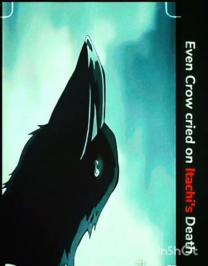 This scene all the itachi fans cry and even crow cried on itachi death| #itachi #crow #animeedit