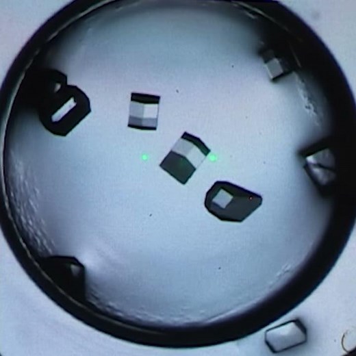 Protein Crystal Microscope Operations