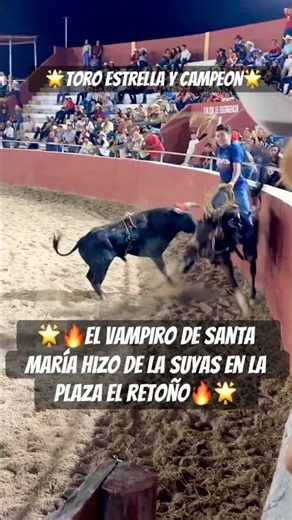 🔥Hizo De Las Suyas El Vampiro De La Santa Maria🔥 #filmschoyohd #tradiciones #toros