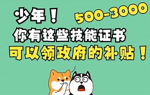 涨薪必看！这些技能证书既可以提升工资收入， 还可以领取政府的补贴， 在年度个税汇算的时候也会有个税减免！考到手的证书补贴怎么领？#星计划#