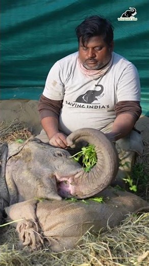 Baby Bani enjoying her greens!