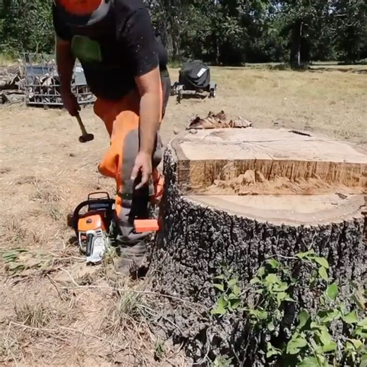 33K views · 450 reactions | An Interesting Way to get rid of a Huge Tree Stump - Cut, Dig and Burn | Rockhill Farm - Tractors, Firewood, and Excavating | Facebook