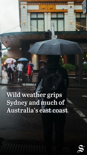 23K views · 118 reactions | Sydney and large parts of NSW have been hit by heavy rain and have been told to prepare for flooding as wild weather deepens along Australia’s east coast. Follow our live coverage at the link in bio. Photo: @dion_georgopoulos #sydneystorm #nswfloods | The Sydney Morning Herald | Facebook