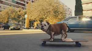 Home insurance customers invited to chillax with Churchill