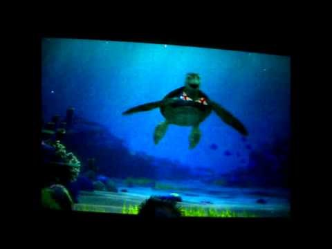 Turtle Talk with "Finding Nemo's" Crush