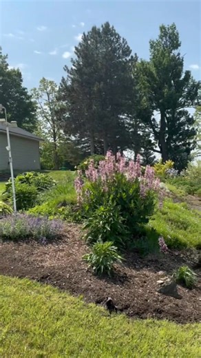 Pattee Hill, picture perfect! | Pattee Hill Wedding and Event Barn