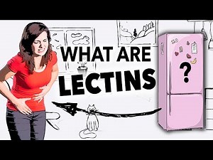 What Are Lectins?
