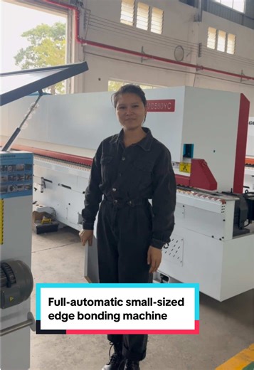 Full Automatic Edge Banding Machine for Woodworking