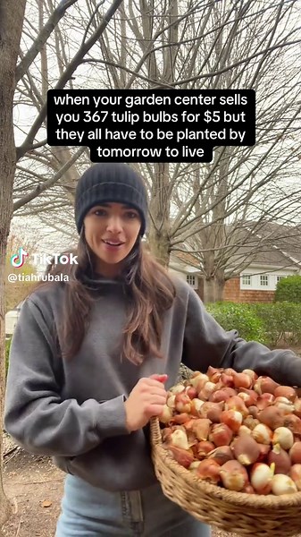 Planting 367 Tulip Bulbs for a Gorgeous Garden
