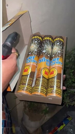 Cornation Silver CHRY😍🤩🎇🎆 #cornationfireworks #fireworks #fireworks2024 #bomb #fireworkshow #cracker