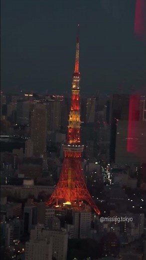 六本木ヒルズ展望台、東京シティビュー。🌃