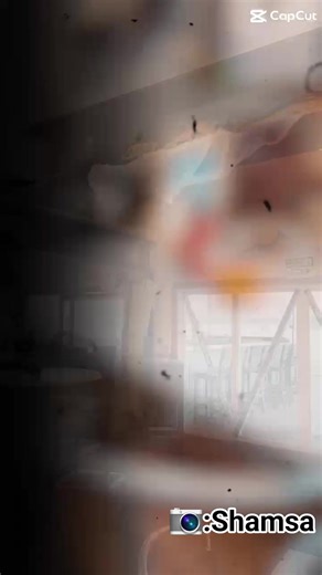 Shamsa Mohamed made this Halloween 🎃 video for us! We are all ready to PARTY all weekend long! Halloween is coming up and WE ARE STILL OPEN! 🎃👻 Throw on your best costume and come party with us ALL WEEKEND LONG!🎉 Saturday night: music, shots, and a prize for best costume (Al’s gift card👀)! Let’s celebrate extending our season🍻 — thanks for hanging with us!🧡🖤 Happy Fall! 🍂🍁🍂🍁🎃 COME PARTY WHILE YOU CAN! TIME IS RUNNING OUT QUICKLY...........!!!! | Captain Al's Restaurant & Tiki Bar