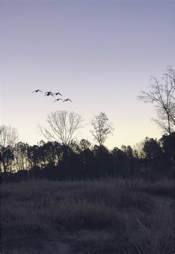 Woody Allen (@woodyallen93)’s videos with Seneca Creek - Charles Wesley Godwin