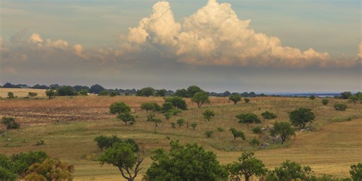Parco Nazionale dell’Alta Murgia, a contatto con la natura