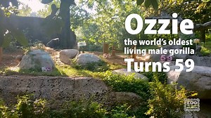 25K views · 1.8K reactions | Happy, happy birthday to a very special...