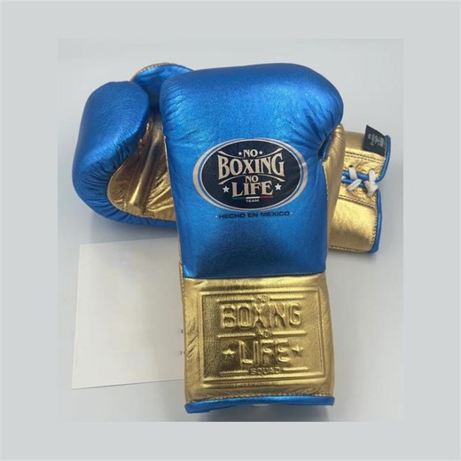 No Boxing No Life Training Gloves, Leather Sparring Gear - Etsy