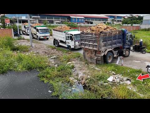 Excellent Really the Project! Start Landfill Job using Trucks 5ton with Operator KomatSu Dozer