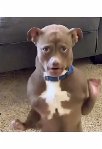 Análisis de Paula: ¿Cuántos años tiene? #Chisme