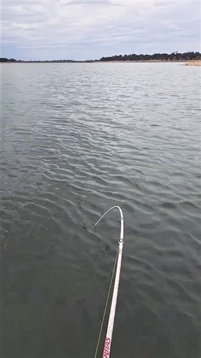 Old Mate Cod Catch #fishing #murraycod #kayakfishing