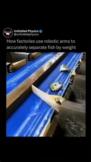 Unfolded Physics | @ExplainingTheUniverse teaches you something NEW everyday day 🧠💫 Factories rely on advanced sorting machines to rapidly organize products... | Instagram