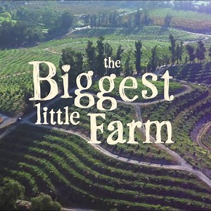 Discover the little farm with a big plan to change the world. #TheBiggestLittleFarm is NOW PLAYING in New York & Los Angeles, Additional Cities Friday! | The Biggest Little Farm