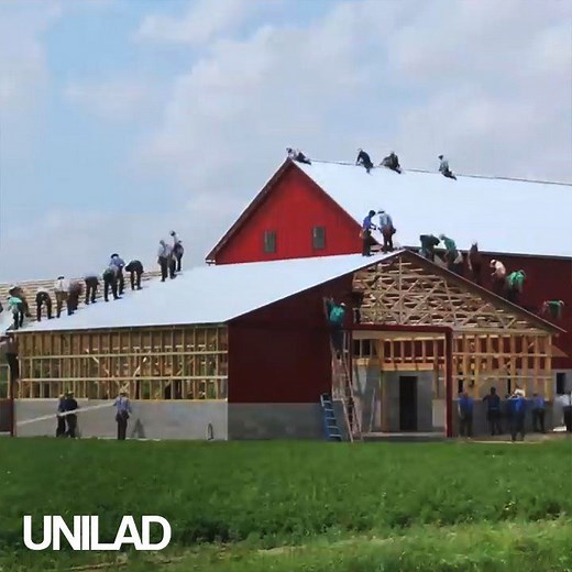 467K views · 2.7K reactions | This Amish community built this entire barn without the aid of any power tools  | UNILAD | Facebook