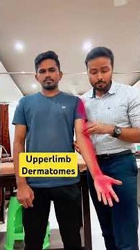 Dermatomes Upper limb in 1 minute #physiotrendz #assessment