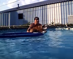Adorable English Bulldog Goes Into The Pool For The First Time! Reacti