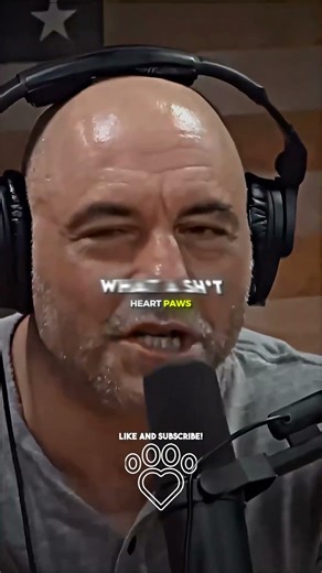 Joe Rogan Reacts On Biggest T Rex Discovery 🤯