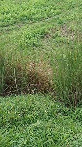 15K views · 321 reactions | Sticker hunt again | Pangasinan Tour | Facebook